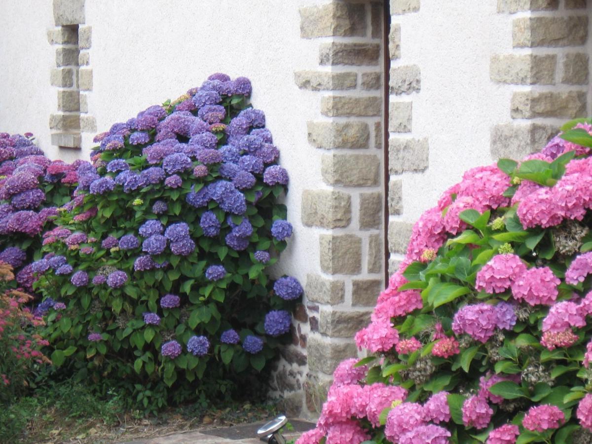 Perrault Gites Loscouet-sur-Meu 외부 사진